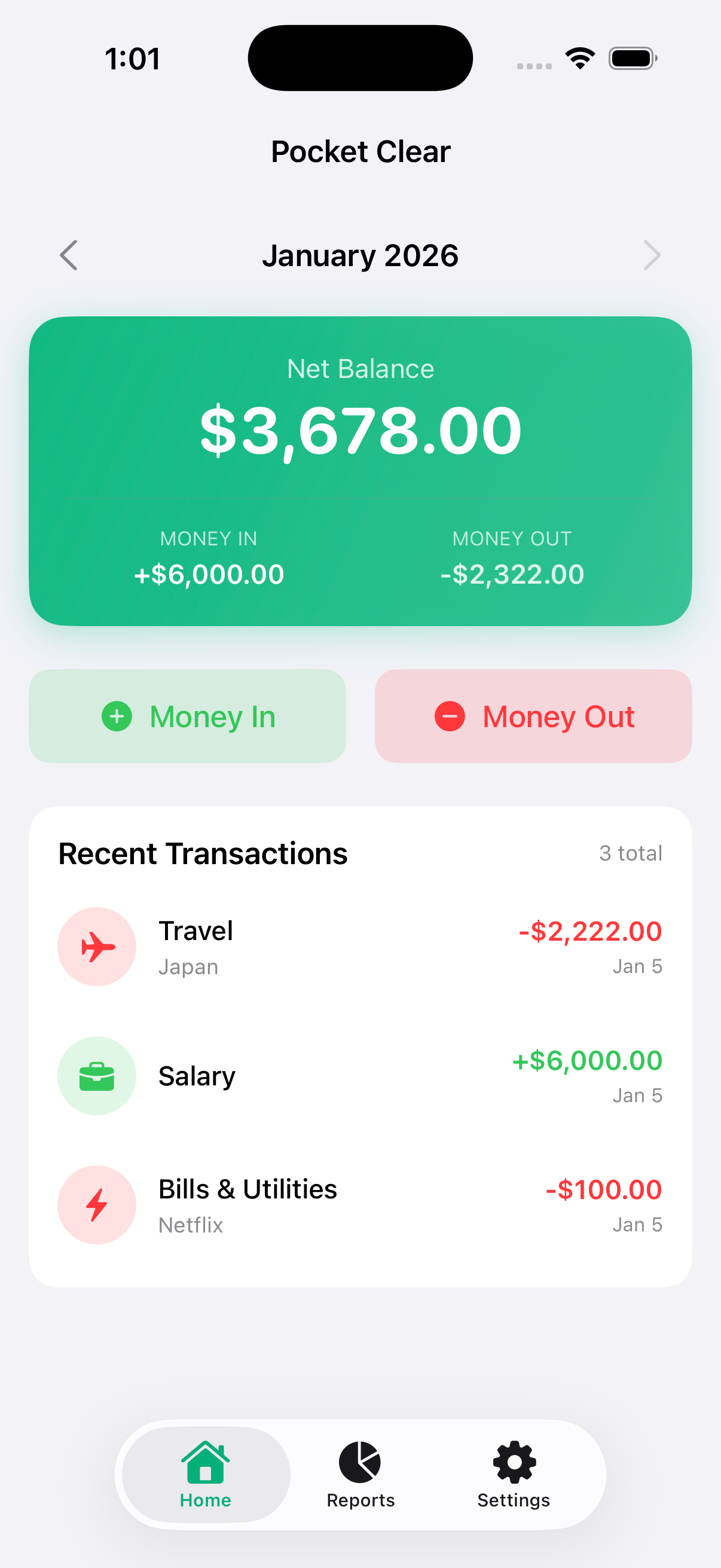 Pocket Clear Home Screen - Track your money in and out